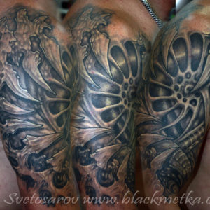 1biomech