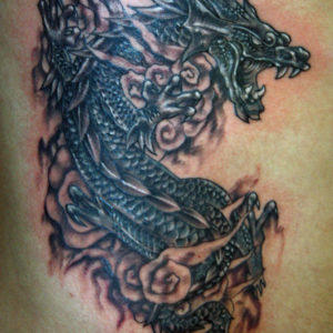 1drago