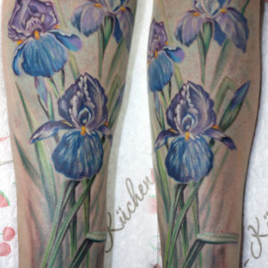 1iris