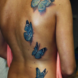 dutterflyes