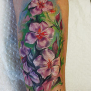 flowa