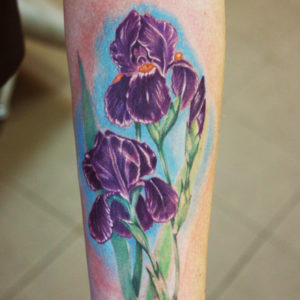 irisy