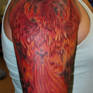 slonfenix
