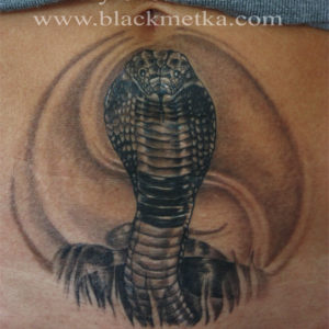 snake