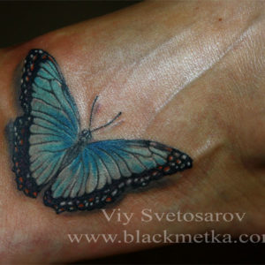 tanyabutterfly