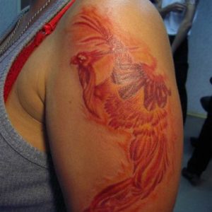 firebird