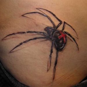 spider
