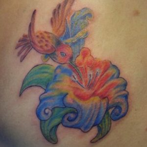 kolibry