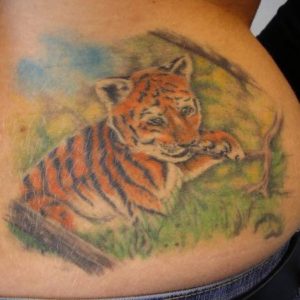 tiger litle