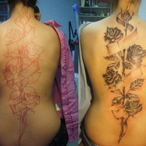 roses back