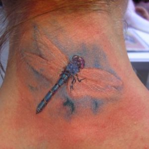 dragonfly