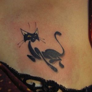 black cat