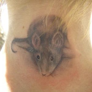 mouse