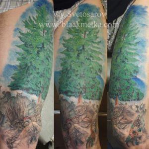 Dimulka*s Tree)))