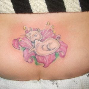 kittykat