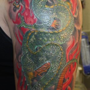 Dragon cover