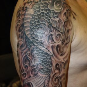 Koi
