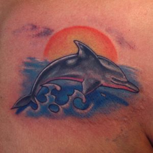 derman dolphin
