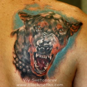 Doberman